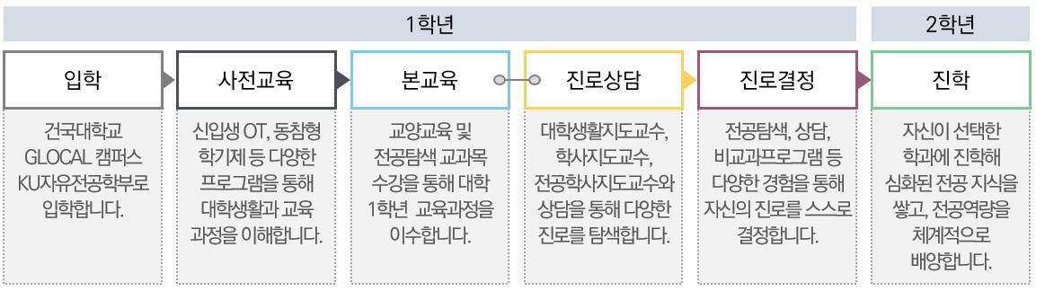 교육과정 로드맵